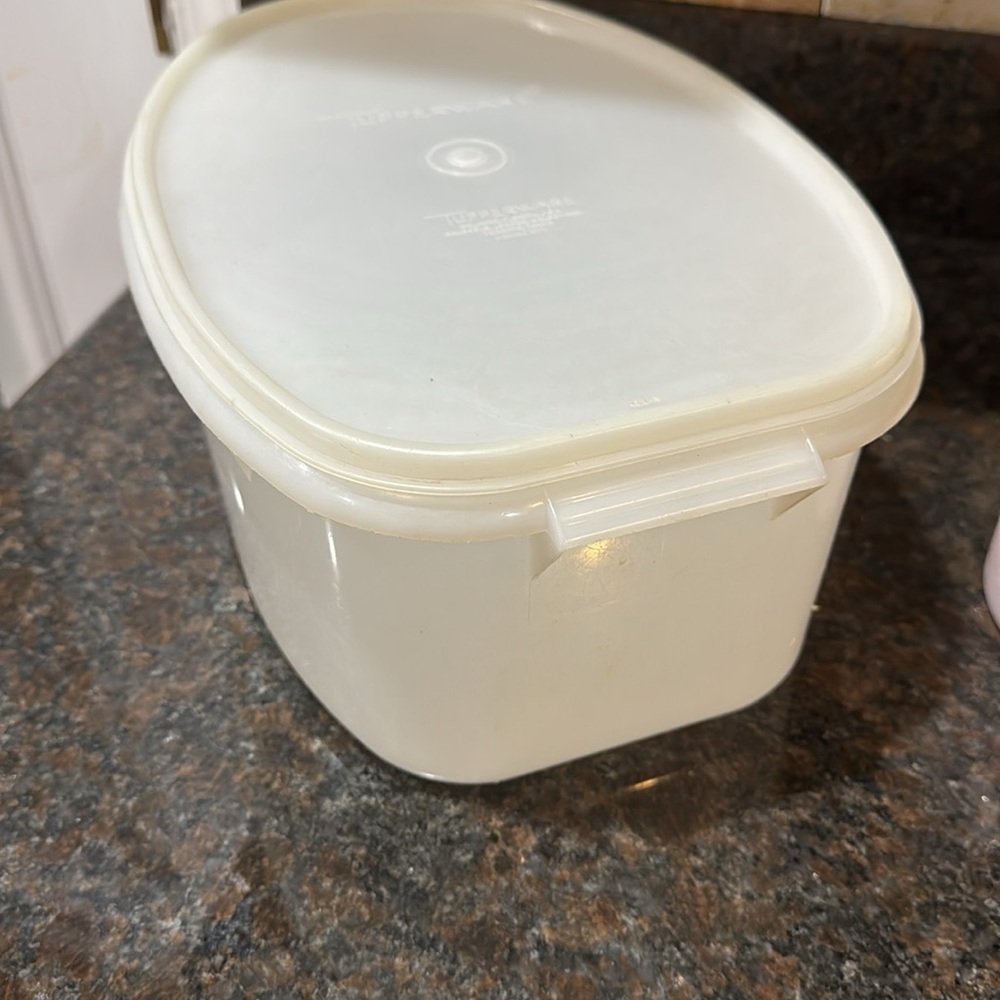 Final price VTG Clear Tupperware Oval Food Storage (Ham) Container Bowl with Lid